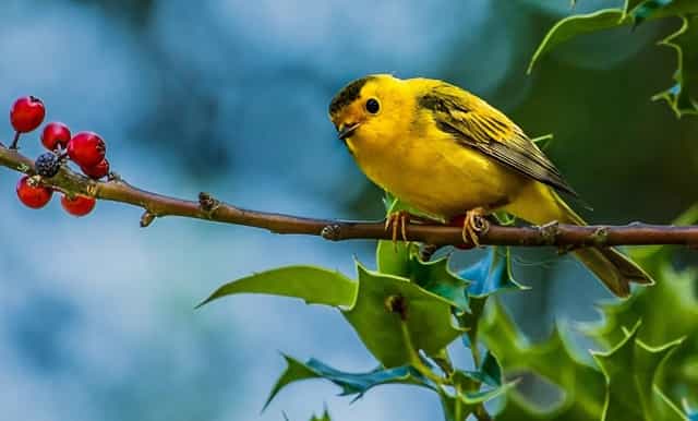 又一个天使母亲基金诞生了:活水来了_