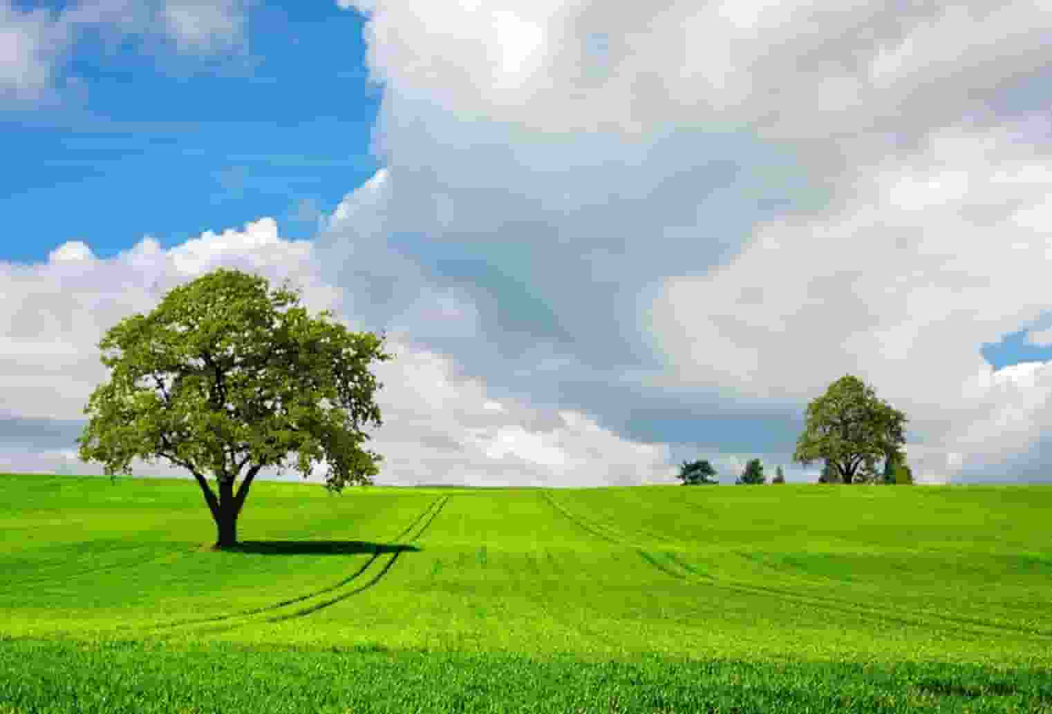 自媒体不挣钱是什么原因？想要做自媒体赚钱学习看这里