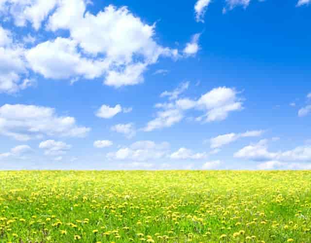 2020年什么项目适合女人做？这些是适合没经验女性开的店