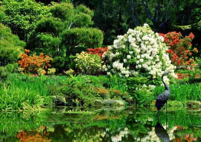 试想现在关闭电商平台，没有网购，我们的生活会是什么样子？