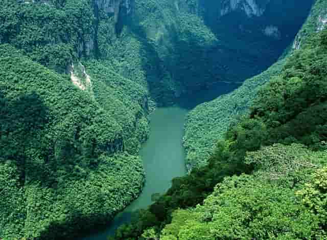 适合一人开店的创业小项目年纯利十几万真实！这五个创业项目很暴力！