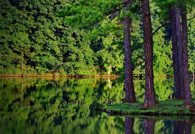 如果卤菜不好吃怎么办？卤菜， 锦味斋， 安徽的教练会给你一些建议！