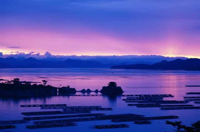 未来五年，哪些创业项目会在农村流行？推荐这几种