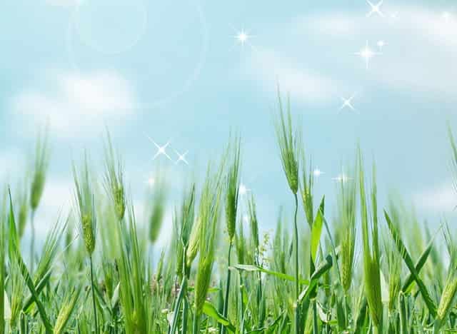 一个500户的社区，54岁的男人能做什么赚钱的生意？