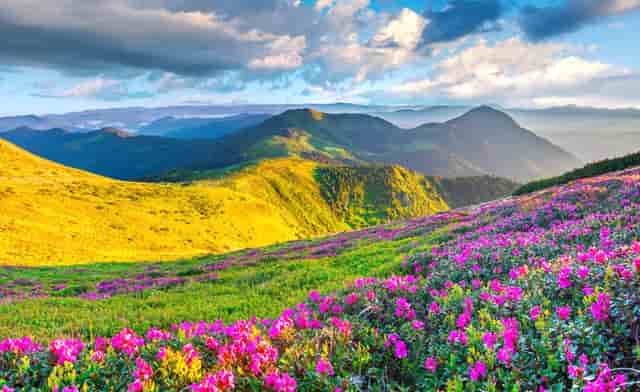 星亚航空集团在B系列融资中获得7000万元 陈达财智牵头投资_