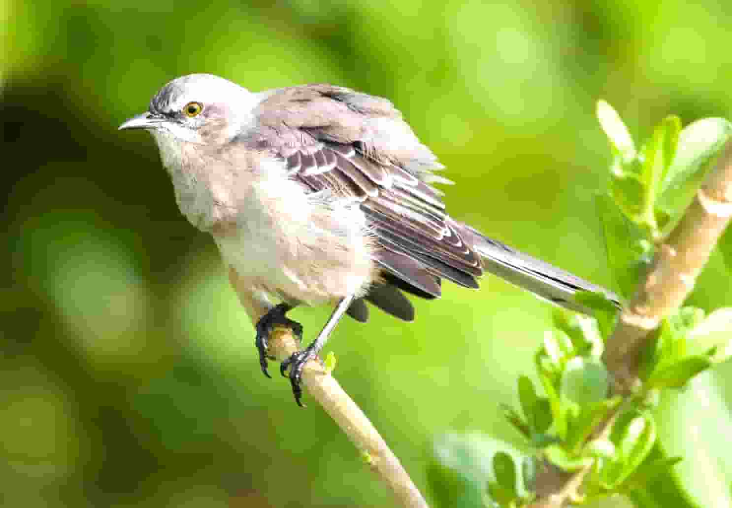  全职妈妈在家赚钱的几种方式