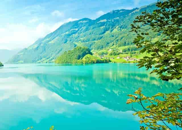 一个52岁的男人，正处在人生最孤独的十字路口。有哪些挣钱的方法？推荐一些