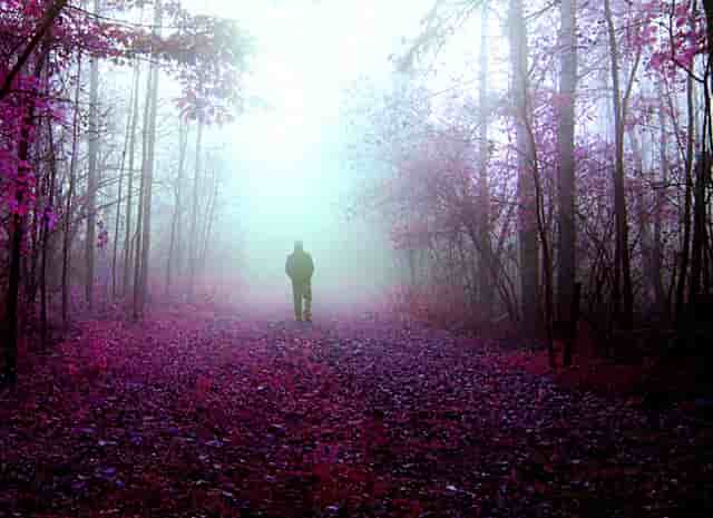 袖虎知识库：这个东西看似没用，实则少不了