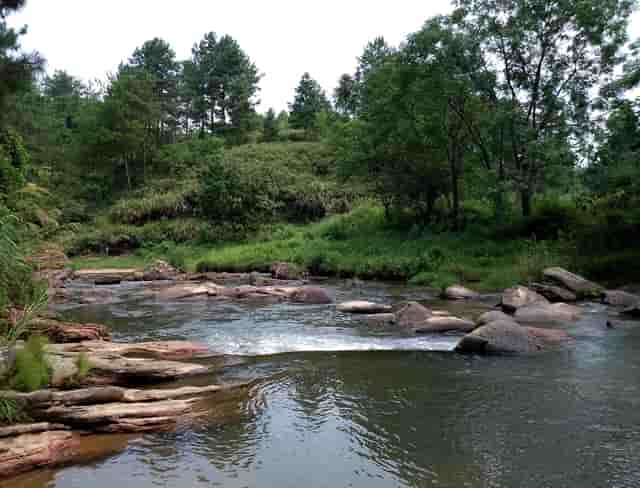 这位45岁的老人春节后还没有准备好工作。他想在农村从事农业。他能筹集什么来安全赚钱