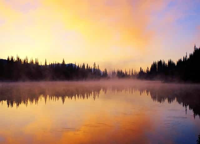 德尔塔病毒对于新冠