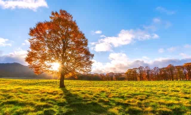 38岁的农民工，月薪3200，维持不了。在回农村？有哪些挣钱的方法