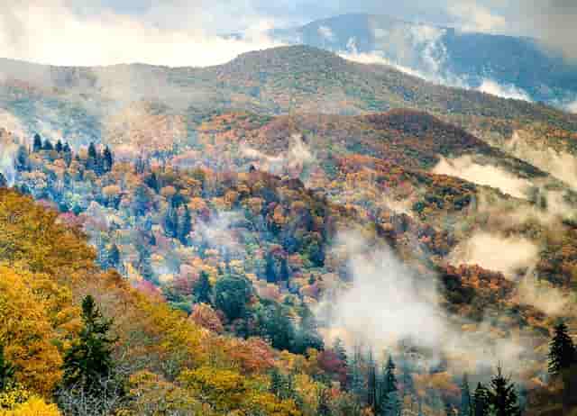 一个38岁的农民工，在想返乡攒了8000块钱创业，他可以选择做什么项目？