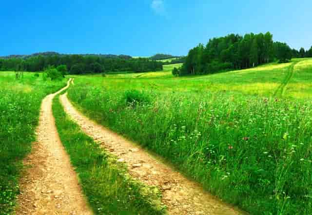 bilibili 81亿上海买地:大互联网公司抢地_