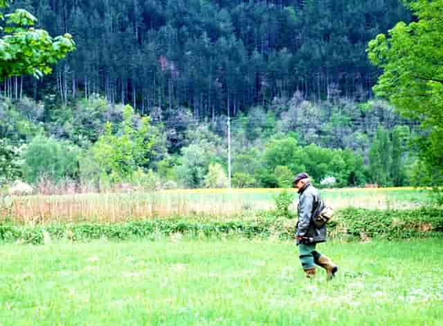 代购怎么赚钱？说说我知道的代购内幕，其实小代理都是炮灰