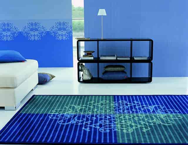 怎么报志愿高中