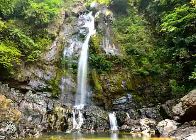 怀孕两个月早上小便(怀孕两个月早上小便的时候有小点褐色分泌物)