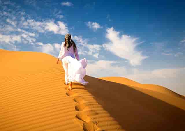 袖虎宠物加盟解惑，宠物店加盟品牌到底靠谱不？