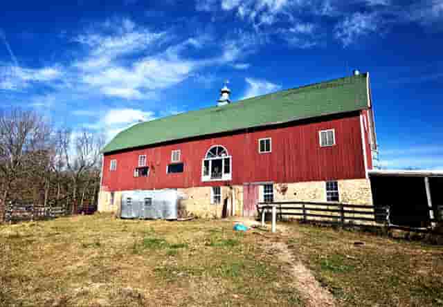 袖虎病狗攻略：狗发烧怎么办