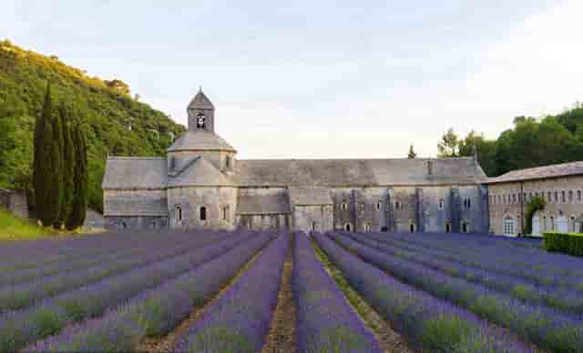 可以进行不动产登记的房产证(不动产登记是房产证吗)