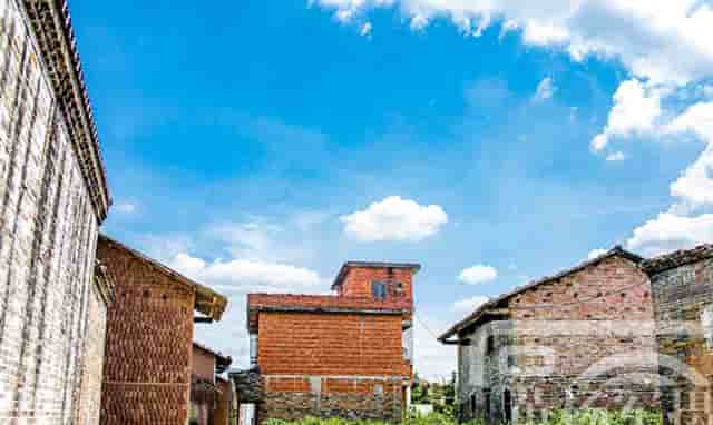 袖虎病猫攻略：猫咪消化不良的症状及治疗