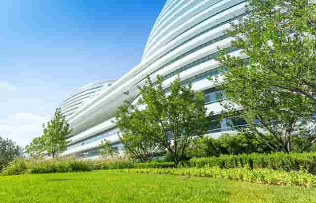 袖虎病猫攻略：猫总挠耳朵甩头，可能是这个东西作怪