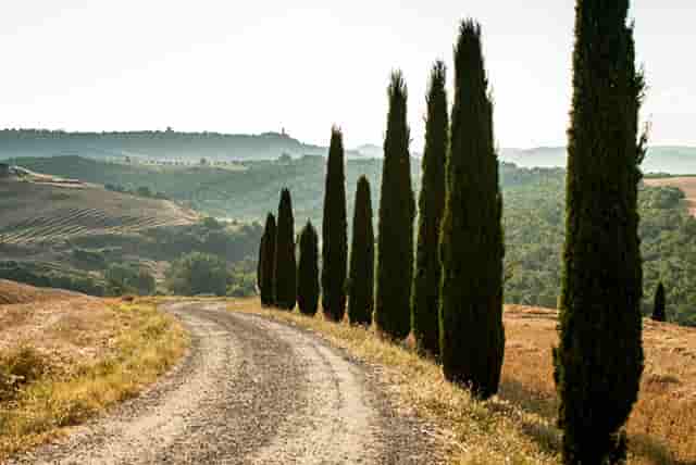 商务用房建筑面积(校舍建筑面积与教学用房面积)