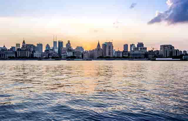 袖虎病猫攻略：猫咪发情会持续多久？