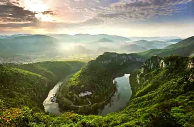袖虎病狗攻略：狗狗喂食要注意，这几大误区可别沾