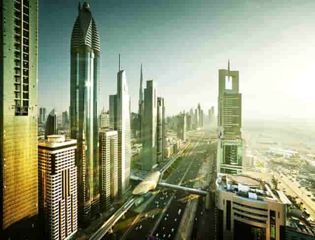 袖虎病狗攻略：关于狗狗断尾那些你不知道的事