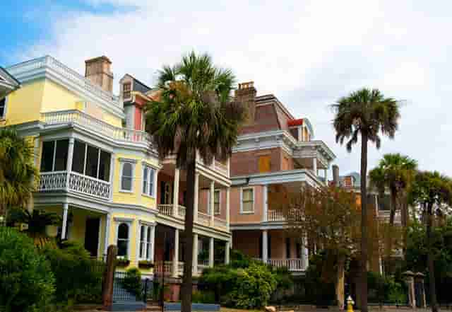 袖虎病猫攻略：怀孕养猫咪就一定会感染弓形虫吗？