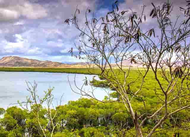 今年最强运动旋风终于来了—欧尚X5PLUS正式上市