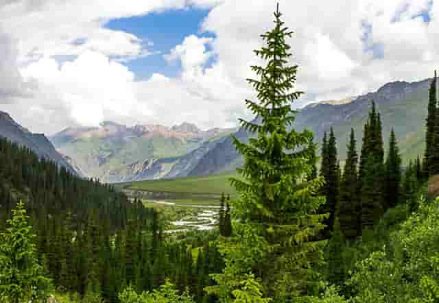 知乎✖别克GL8丨拆车实测，揭秘mpv标杆那些深藏不漏的细节