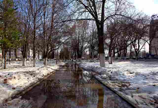 中国女排奥运会决赛对巴西(2016中国女排里约奥运会对巴西)