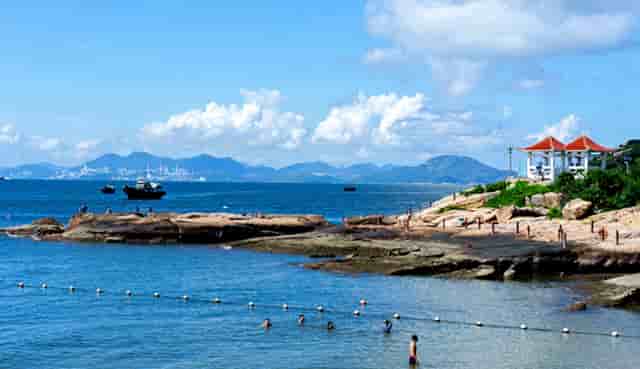 袖虎病猫攻略：怎么样为猫咪做产房