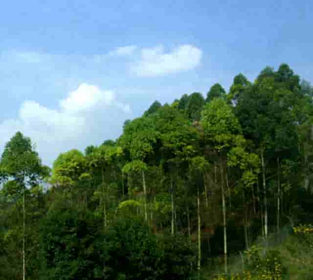 济昦拼音(搭济的拼音怎么写)