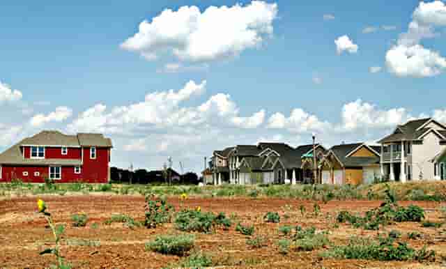 咖啡公司发展(咖啡发展对社会的意义)