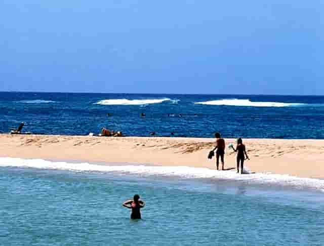 排骨的美食(排骨美食图片)