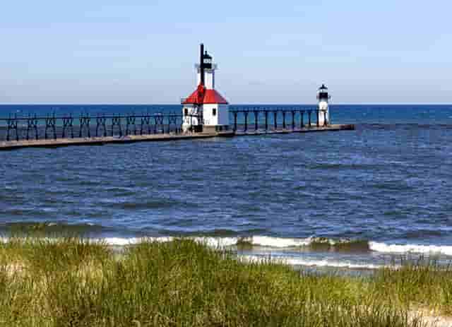 白茶是哪里出(白茶与鹿出自哪里)