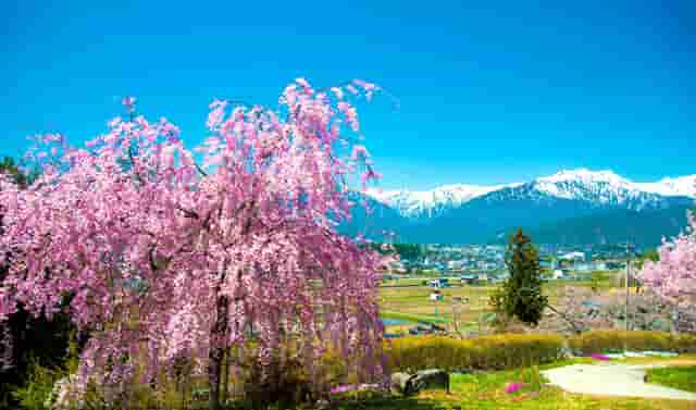 千车万人自驾中国“醉”美草原“99号公路”之旅暨《99号公路》网络微短剧项目启动