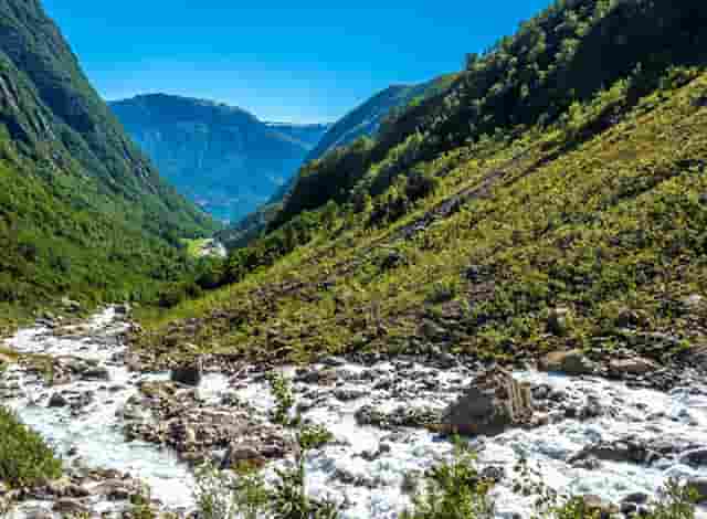 比亚迪上半年新车销量首进全球前十