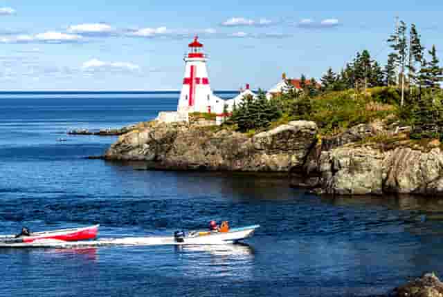 袖虎病猫攻略：猫咪秋季常患疾病