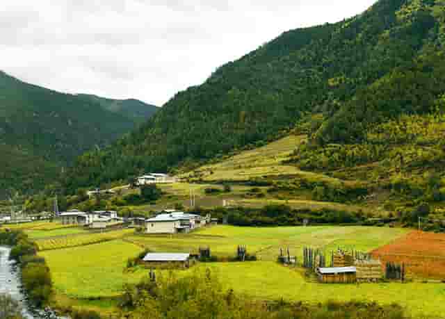 党史学习四个任务