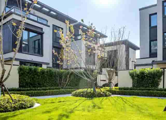 袖虎病猫攻略：绝育术前准备