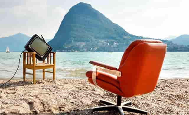 袖虎病猫攻略：捡到幼猫怎么养