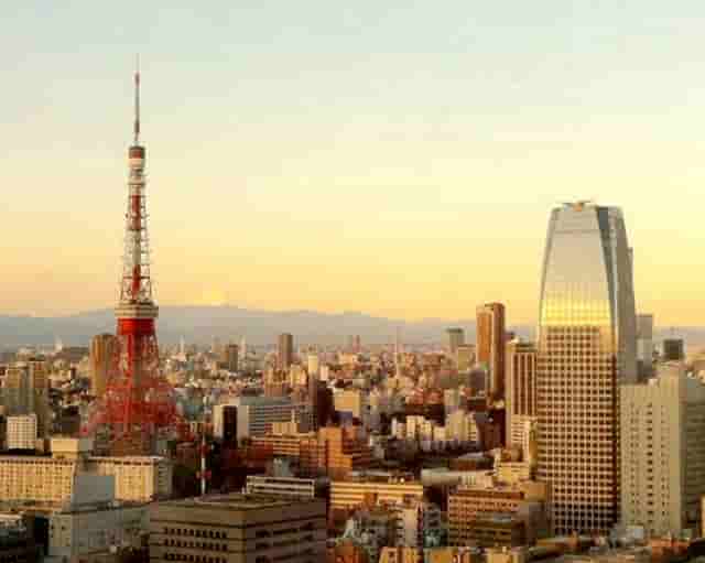 袖虎病猫攻略：猫咪肥胖知多少